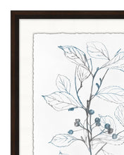 Load image into Gallery viewer, Blue Leaf Sketch 1