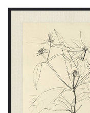 Load image into Gallery viewer, Floral Study 3