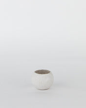 Load image into Gallery viewer, Whitewashed Natural Bell Cups