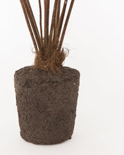 Load image into Gallery viewer, Faux Forest Fern Drop-In