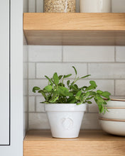 Load image into Gallery viewer, Hanover Pot