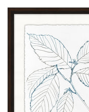 Load image into Gallery viewer, Blue Leaf Sketch 2
