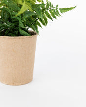 Load image into Gallery viewer, Faux Paper Pot Fern
