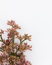 Load image into Gallery viewer, Faux Budded Lilac Stem
