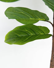 Load image into Gallery viewer, Faux Fiddle Leaf Tree
