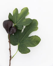 Load image into Gallery viewer, Faux Fig Berry Stem
