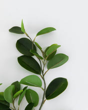 Load image into Gallery viewer, Faux Italian Ficus Branch
