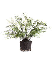 Load image into Gallery viewer, Faux Maiden Hair Drop-In
