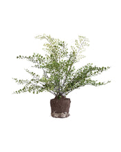 Load image into Gallery viewer, Faux Maiden Hair Drop-In
