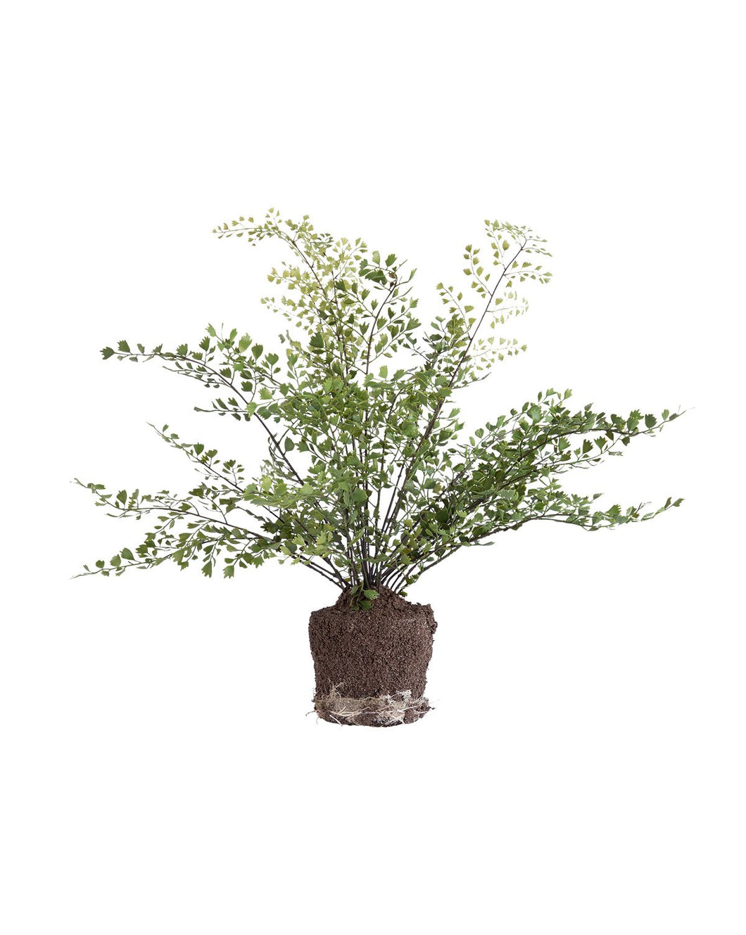 Faux Maiden Hair Drop-In