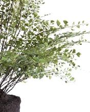 Load image into Gallery viewer, Faux Maiden Hair Drop-In
