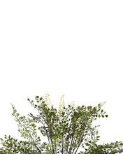 Load image into Gallery viewer, Faux Maiden Hair Drop-In
