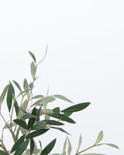 Load image into Gallery viewer, Faux Potted Charleston Olive Tree
