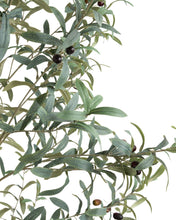Load image into Gallery viewer, Faux Potted Olive Topiary
