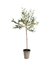 Load image into Gallery viewer, Faux Potted Olive Tree
