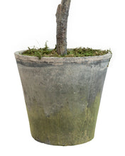 Load image into Gallery viewer, Faux Potted Olive Tree
