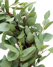 Load image into Gallery viewer, Faux Seeded Eucalyptus Wreath
