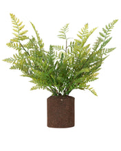 Load image into Gallery viewer, Faux Woodland Fern Drop-In
