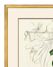 Load image into Gallery viewer, Fruit Sketch 2
