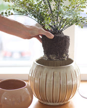 Load image into Gallery viewer, Faux Maiden Hair Drop-In
