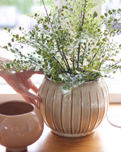 Load image into Gallery viewer, Faux Maiden Hair Drop-In
