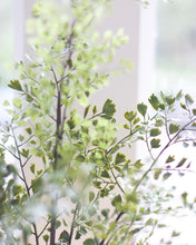 Load image into Gallery viewer, Faux Maiden Hair Drop-In
