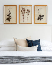 Load image into Gallery viewer, Percy Pillow Cover
