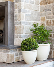 Load image into Gallery viewer, Glossy Cream Garden Pots (Set of 3)
