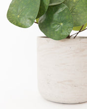 Load image into Gallery viewer, Faux Potted Pancake Plant
