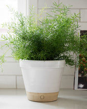 Load image into Gallery viewer, Hanover Pot
