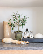 Load image into Gallery viewer, Faux Potted Charleston Olive Tree

