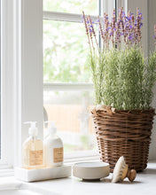 Load image into Gallery viewer, Horse Hair Dish Brush
